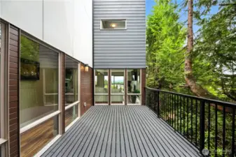Entertainment Deck off Dining Area
