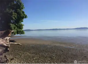 property includes almost 100' of beach with tideland rights (aka lots of yummy shellfish!)