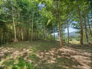 Camp site. Photos are representative of the overall property and may not reflect the unique features of each individual lot.