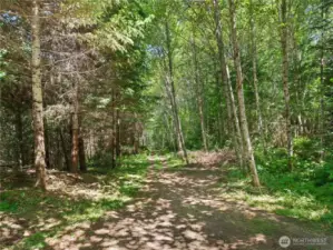 Photos are representative of the overall property and may not reflect the unique features of each individual lot.