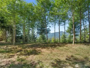 Camp site. Photos are representative of the overall property and may not reflect the unique features of each individual lot.
