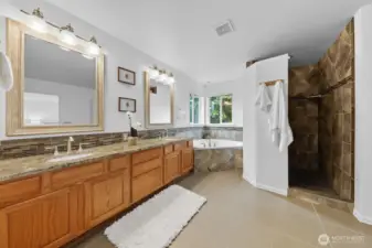 en-suite bathroom with walk-in closet.