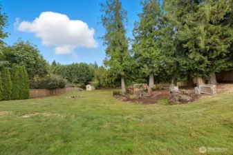 Sprawling backyard.