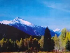 Seller's historic photo
