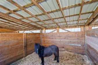 Roomy stalls with dividers that can be removed.