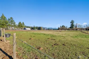 Weed & seed used yearly for great pasture grass.