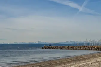 Olympic Mountains, shorebirds & sailboats