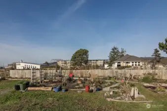 Community garden space near the beach