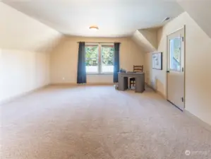 Large Bonus Room