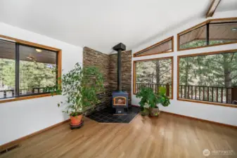 Wood burning stove