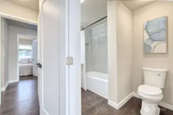 Primary view