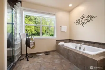 Lower Floor Master Full Bathroom