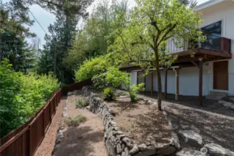terraced yard with established plantings