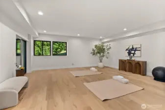 Home gym, bonus, theater room.