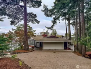 50 trees grace this .48 acres