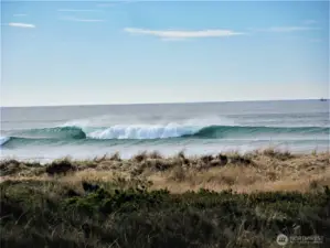 --- find a wave to surf --