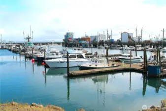 --- check out the boats in the marina.