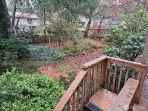view of some of the backyard from the deck.