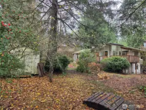 Backyard looking towards back of house