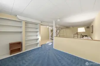 Basement Living Space