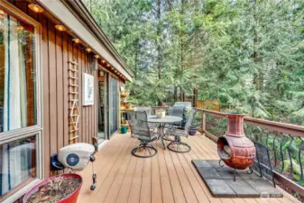 The back deck off the dining area has room for your flowers, friends and entertaining year round.