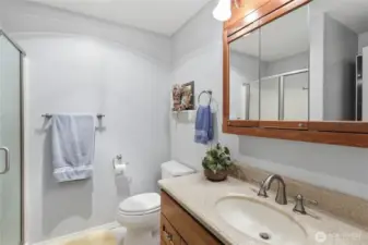 This is the 3/4 bath on the lower level.