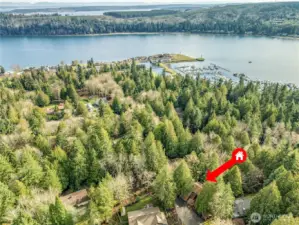 The home's location in relationship to the amenities Port Ludlow has to offer.