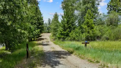 Secluded private driveway leading up to the cabin on just over 3 beautiful acres.
