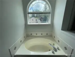 Primary bathroom soaking tub