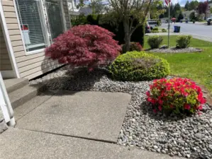 Professional Landscaping iin Front Yard