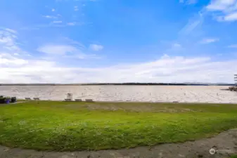 One of two waterfront parks in Madison Park!