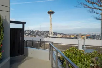 Rooftop deck view of Space Needle.