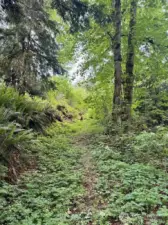 Hiking trails in the development