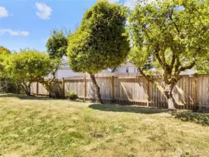 private fully fenced backyard with fruit trees