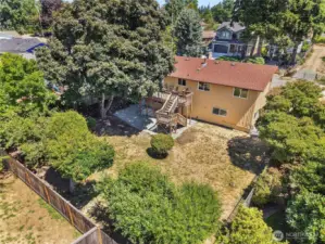backyard sacntuary