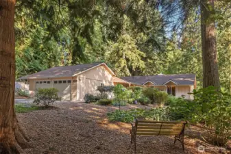 Over 1/2 acre level lot
