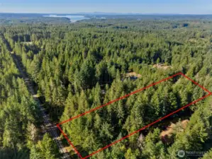 Southern view shows proximity to Case Inlet. Wright-Bliss road in lower left corner (short side red line) running South. Red-line is guesstimate of lot dimension/location- buyer to verify.