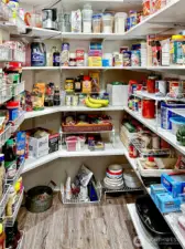 Tons of food and small appliance storage in walk-in pantry.