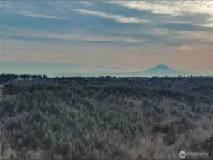 A view of this secluded timbered area.