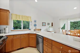 Solid countertops are spic and span!