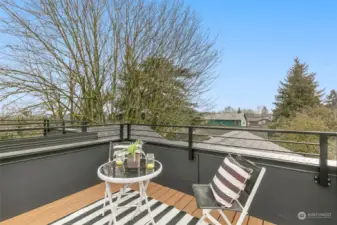 Above all, the airy rooftop deck showcases views of the Cascade Mountains, Lake Washington and Downtown Bellevue!