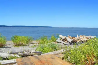 Views over towards Whidbey w/ Boats, Whales, Salmon, and Eagles Cruising By~