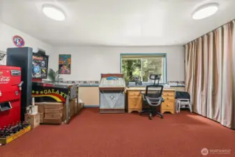 Bonus room in the lower level! Perfect for a game room, rec room, or just storage.