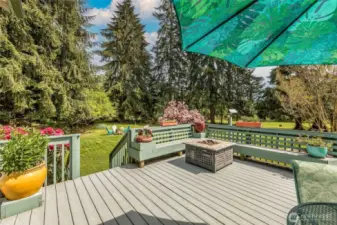 Lower tier deck with plenty of space for entertaining.
