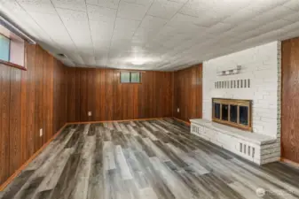 Basement bedroom (or another living room) with wood burning fireplace