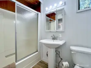 2nd Bath with Tub
