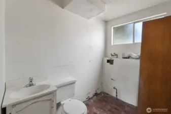 Lower Level Bathroom