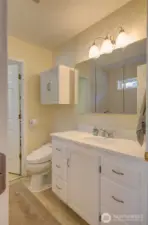 Primary bathroom has single sink vanity.