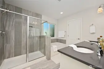 Plus separate soaking tub.