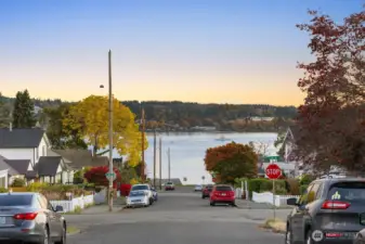 Street-level view looking toward the water, showcasing the neighborhood’s peaceful setting and tree-lined character.